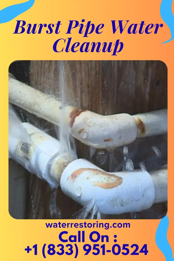 Burst Pipe Water Cleanup in Emmett, ID